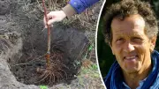 Save 30% on Bare Root Plants: Monty Don's November Gardening Tips