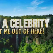 Seann Walsh Falls Ill, I'm A Celeb Return in Doubt After Gig Cancellations