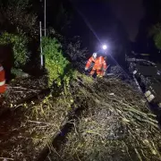 Storm Claudia Batters West Midlands: Floods, Fallen Trees, School Closures