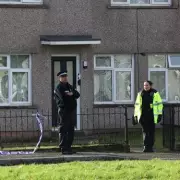 Teen Girl Stabbed to Death in Cefn Fforest Home, Mother Seriously Injured