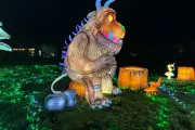 Twycross Zoo's Lanterns of the Wild: A Festive Mile of Glowing Magic