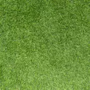 UK Artificial Grass Warning: Environmental Dangers Revealed