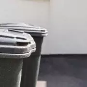 UK Black Bin Warning: Avoid £80 Fines This Festive Season