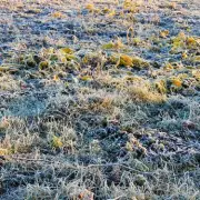 UK Braces for Frost and Snow as Temperatures Set to Plummet by 7C