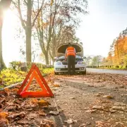 UK drivers warned: Don't park under trees for 3 weeks due to leaf damage