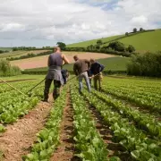 UK Farmers Demand Fair Treatment as Supermarket Practices Worsen