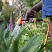 UK Hosepipe Bans Threaten Winter Fines as Drought Persists