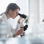 UK R&D Spending Rises 4.5% to £55.6bn, But Wales Lags Behind