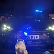 Uninsured Bentley Seized in 24-Hour West Midlands Police Crackdown