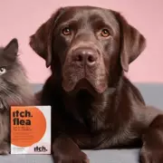 Vet Issues Urgent Warning to UK Pet Owners Over Deadly Flea Infestation Crisis