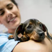 Vet's Winter Warning: Tap Water Could Dehydrate Your Dog