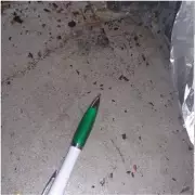 Walsall wedding caterer fined £5k after mouse droppings discovery