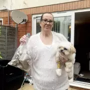 Woman Flees UK After Home Targeted in 'Mistaken Identity' Egg Attacks