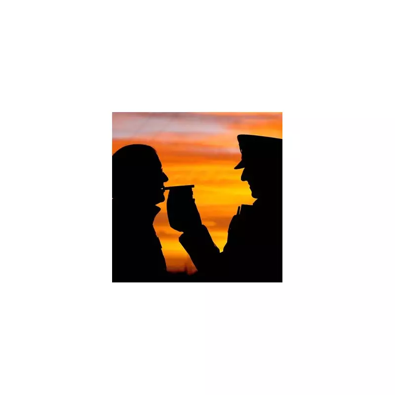 1 in 4 Brits Admit to Drink-Driving Plans This Christmas