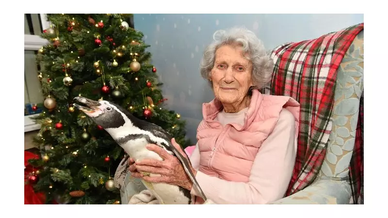 101-Year-Old Doris Switches on Christmas Lights with Penguin Pals