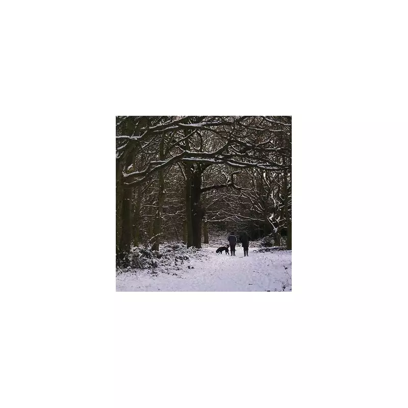 11 Wonderful Winter Dog Walks in Birmingham for Family Adventures