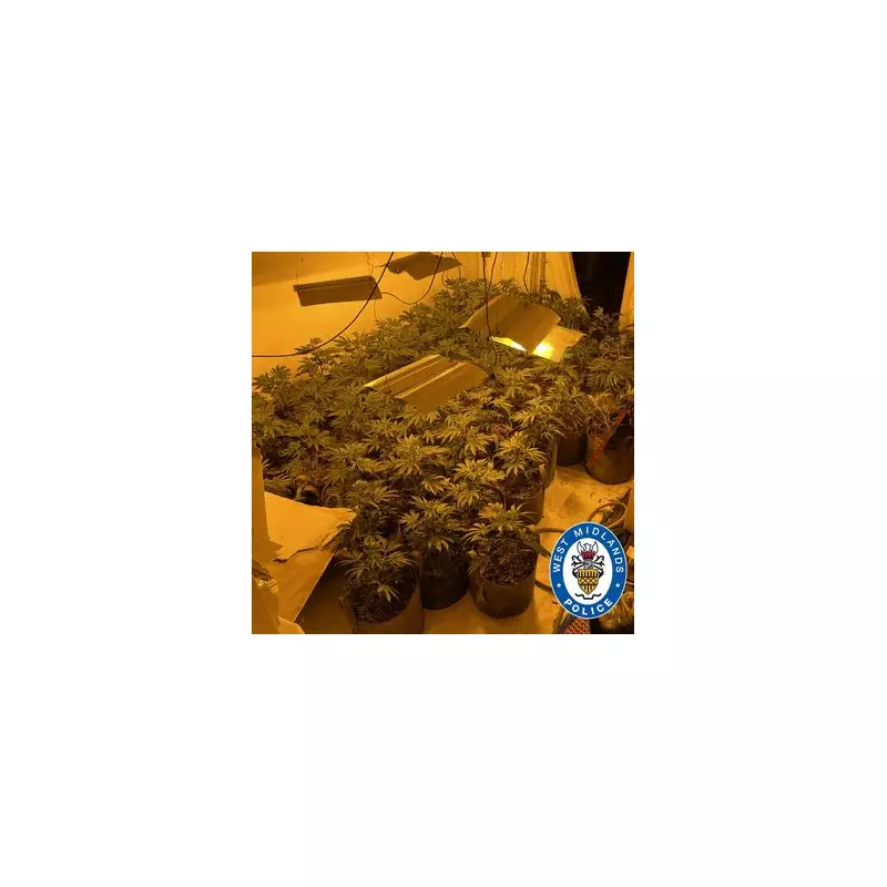 143 Cannabis Plants Seized in 'Vast' Birmingham Farm Raid