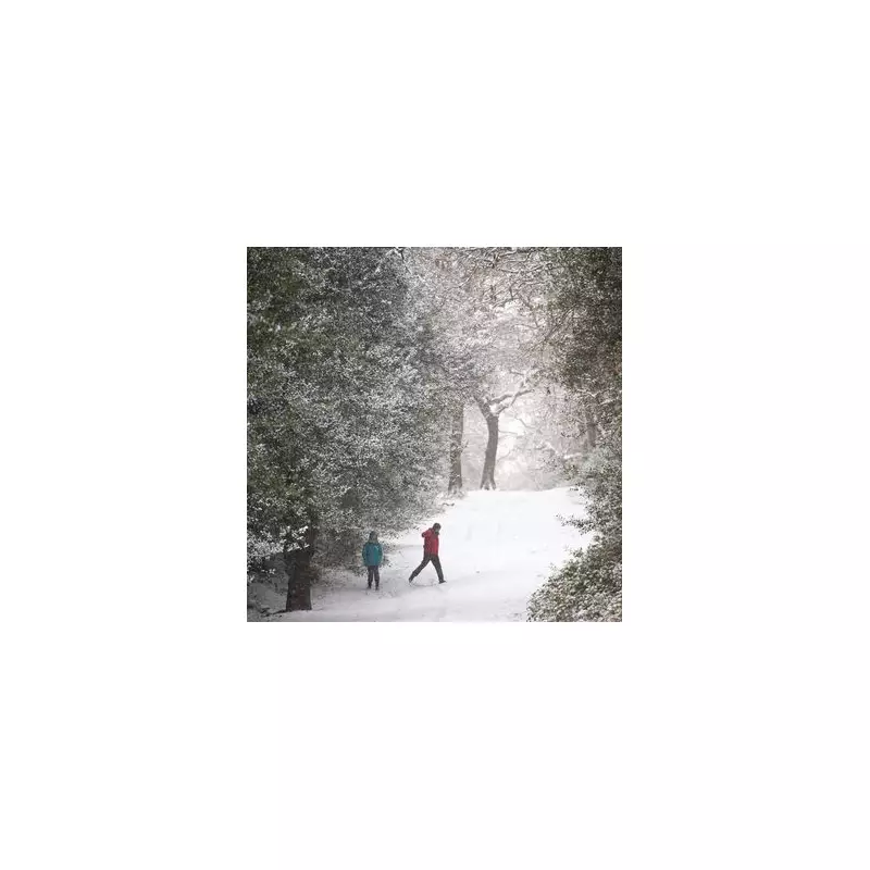 16 Stunning Winter Walks Near Birmingham: From Snowy Parks to Frosty Hills