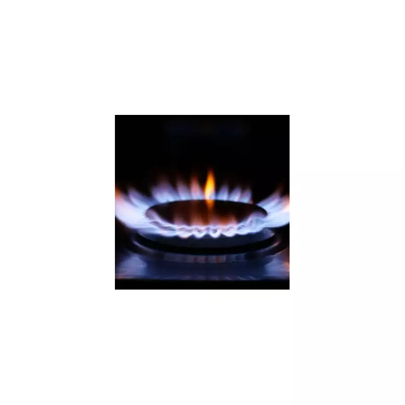 25p Magnet Test Could Slash Energy Bills for UK Induction Hob Owners