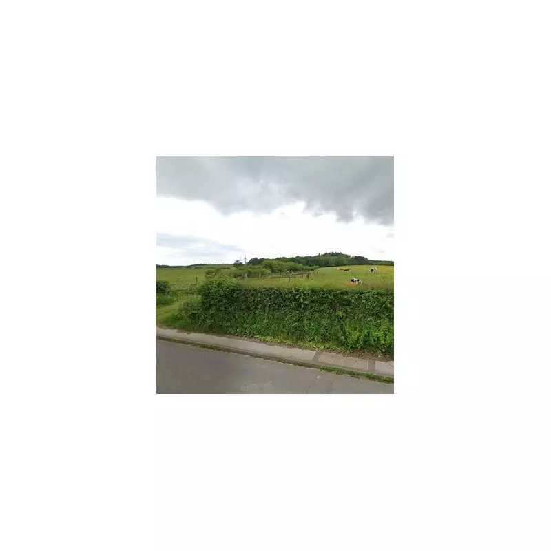 650 New Homes and Country Park Proposed for Newcastle-under-Lyme