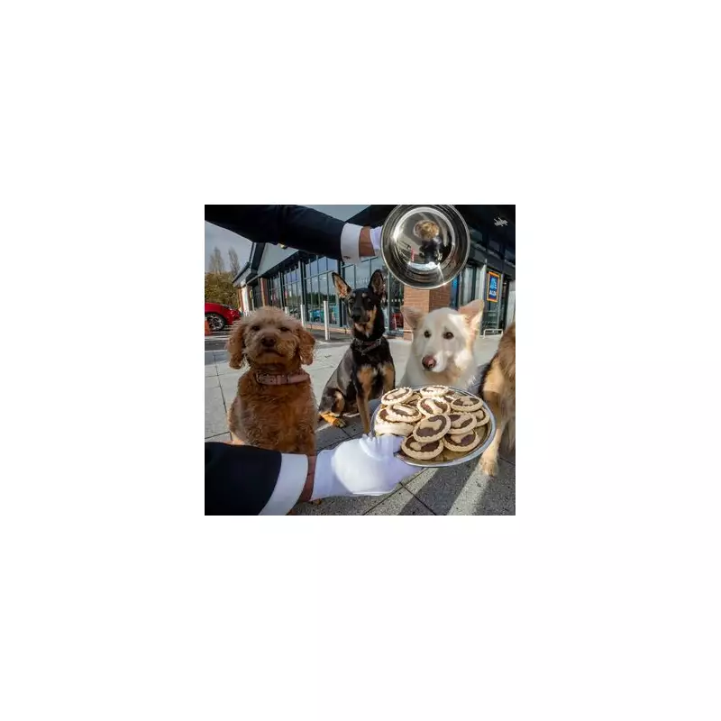 Aldi Launches Festive Dog Mince Pies for £4.99 Ahead of Christmas