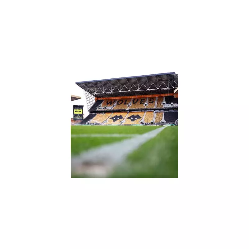 Aston Villa's February Fixtures Rescheduled for TV, Including Friday Night Derby