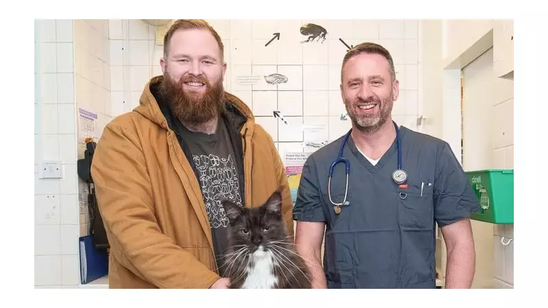 Batman the Cat Walks Again After Double Hip Surgery in Newcastle-under-Lyme