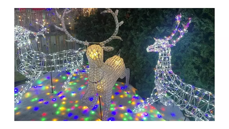 Bedfordshire Couple's Festive Lights Aim for £50k Hospice Milestone