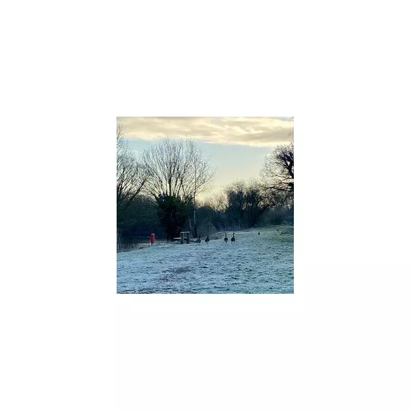 Bird Flu Outbreak at Kingsbury Water Park: Key Safety Guidance