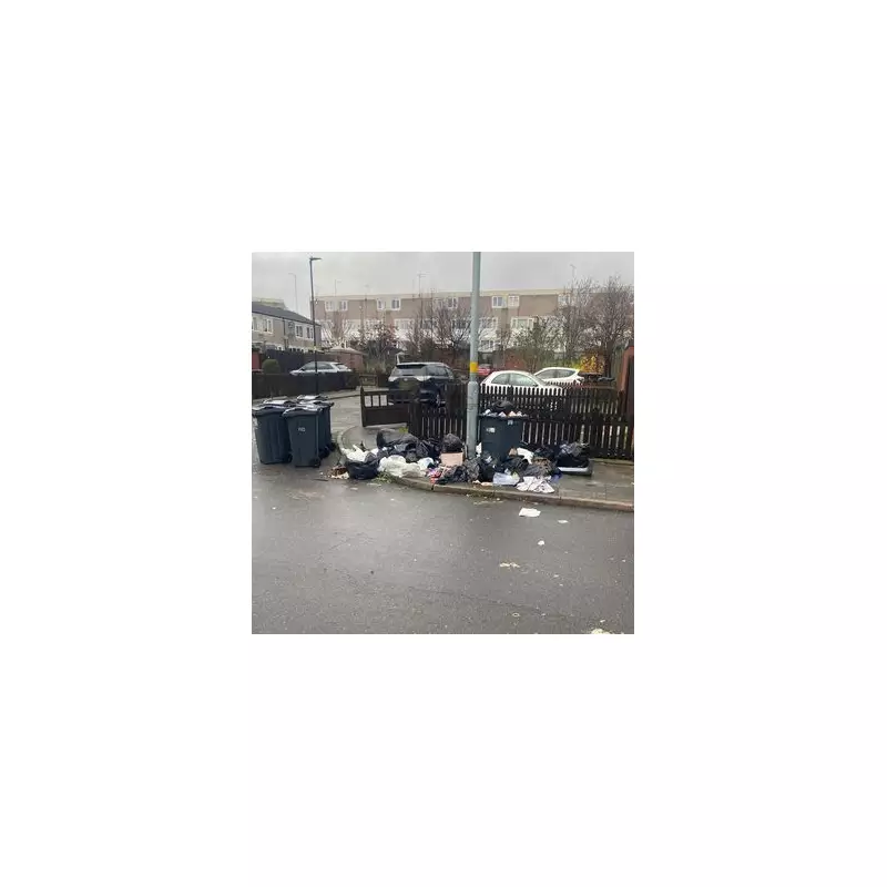 Birmingham Bishop Offers Christmas Day Mediation in Bin Strike Crisis