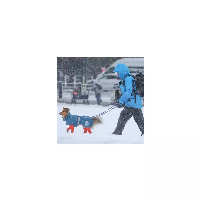 Birmingham Braces for 3.3cm Per Hour Snowfall in Early January