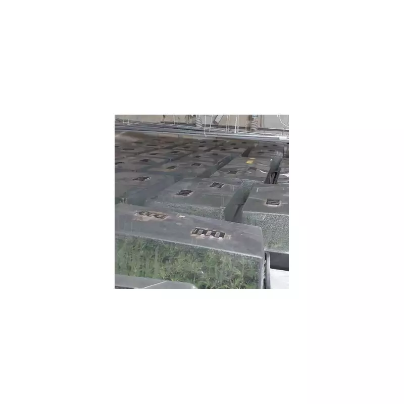 Birmingham Police Uncover £9.5m Cannabis Farm, One of UK's Largest