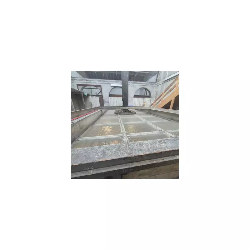 Birmingham's Hidden Graffiti: 140-Year-Old Football Rivalry in Museum Rafters