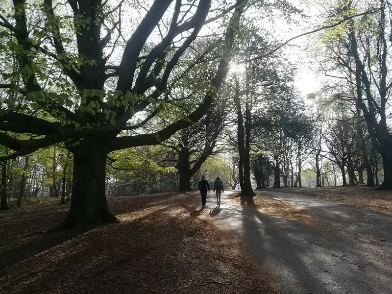Birmingham's Sutton Park Named Among UK's Top 10 Christmas Day Walks