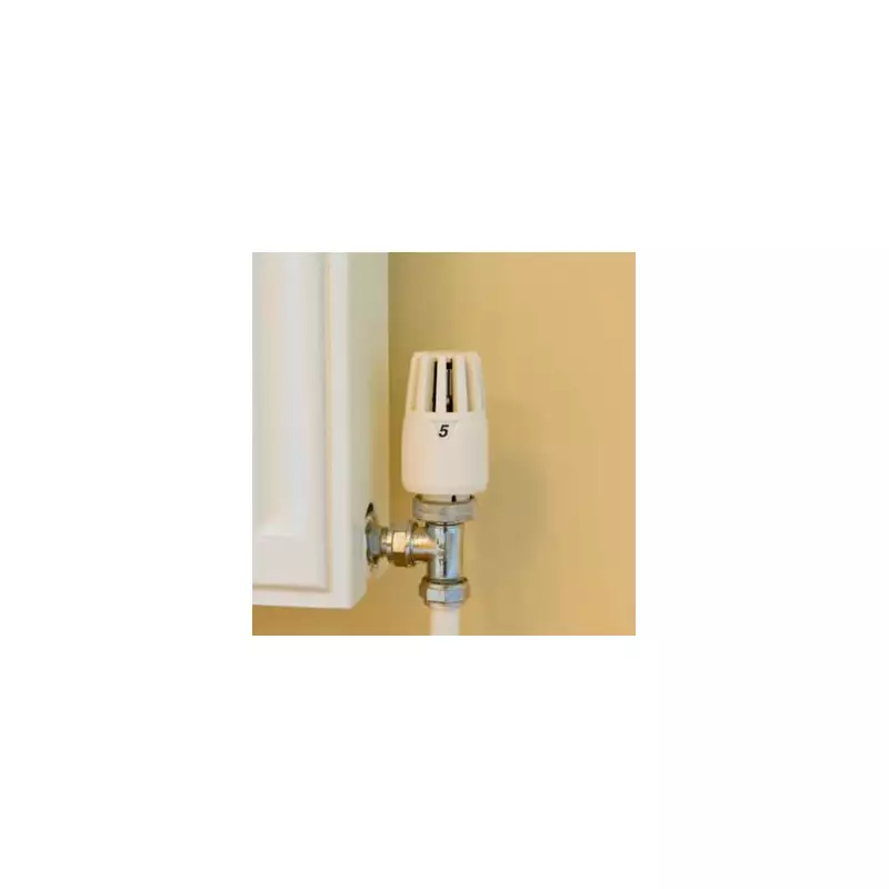 Bournemouth woman's 30-year heating ban: Warm home for just £150 a winter