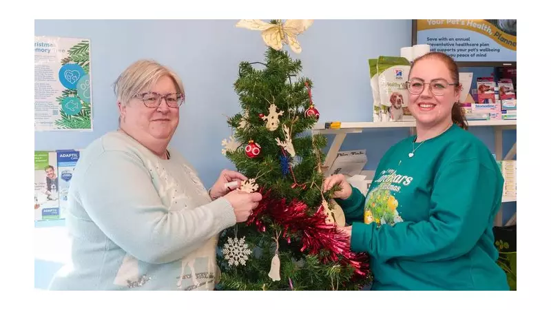 Bradford Vets' Festive Memory Tree Raises Funds for Cat Charities