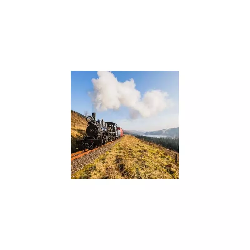 Brecon Mountain Railway Named Among Europe's Top 10 Most Beautiful Train Rides
