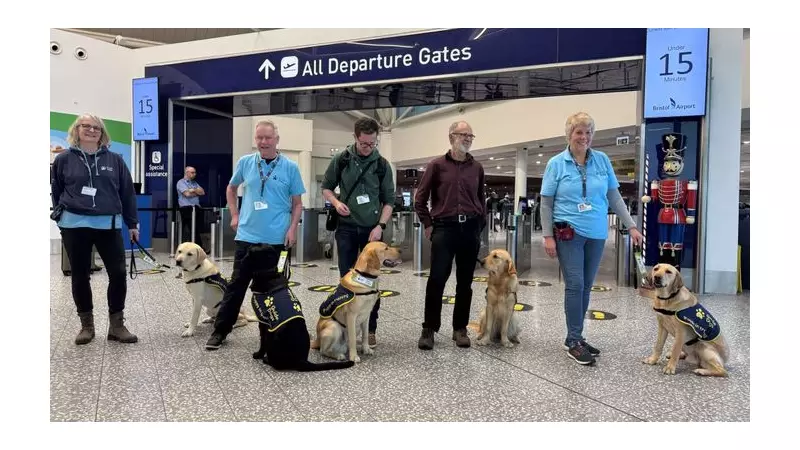 Bristol Airport Hosts Guide Dog Puppies for Crucial Socialisation Training