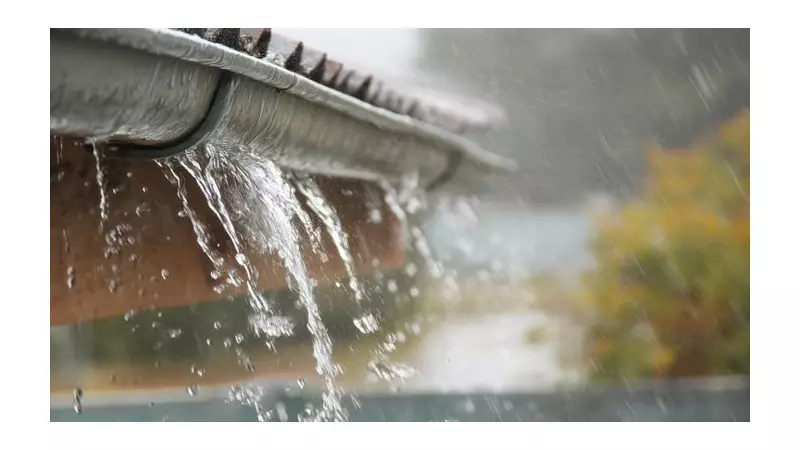 Clear Blocked Gutters Now to Prevent Costly Damp and Water Damage