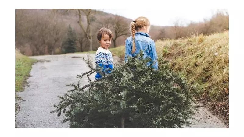 Dobbies' Free Southport Workshop Teaches Kids to Recycle Christmas Trees