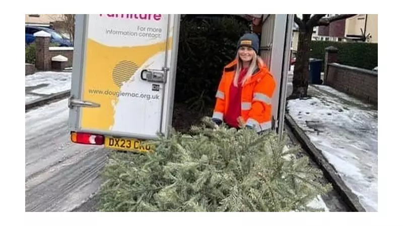 Dougie Mac's TreeCycle: Register by Jan 5 for Eco-Friendly Christmas Tree Collection
