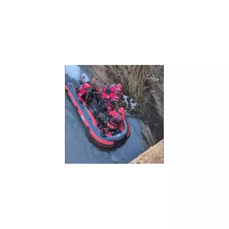 Dramatic Barnsley River Rescue: Firefighters Save Dog from Raging Rapids