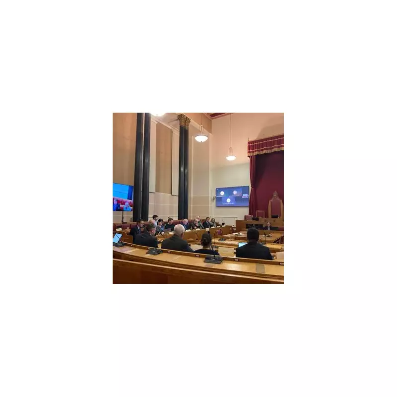 Dudley Council's 17% Carbon Cut Sparks 'False Accounting' Warning