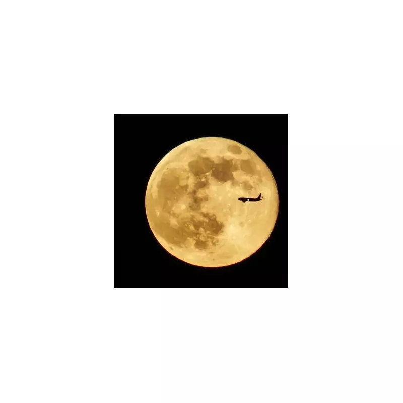 Final Supermoon of 2025: How to See the Cold Moon on December 4