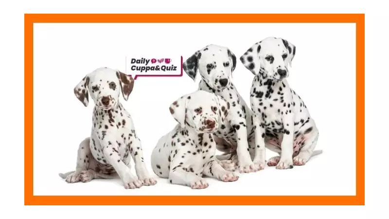 Friday Quiz Answers: From Ted Lasso to Orwell and Bactrian Camels