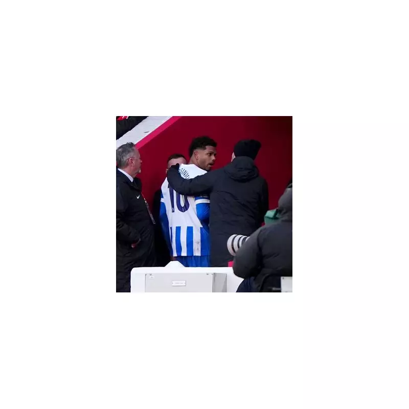 Hürzeler Eases Rutter Injury Fears as Brighton Face Villa With Four Doubts