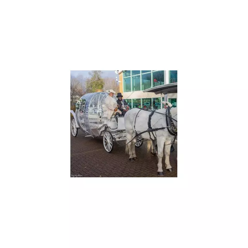 Inside the £19,000 Fifth Birthday Party with Horse-Drawn Carriage