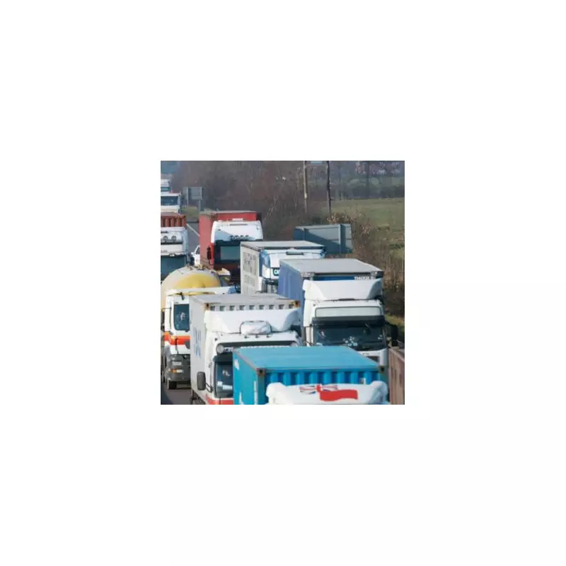 Labour urged to boost EV demand with used car subsidy as expert warns of 'missed opportunity'