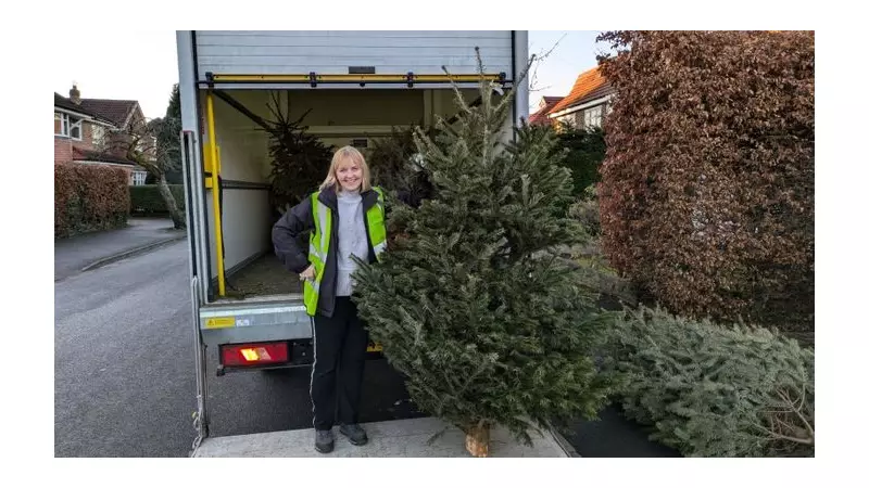 Manchester's 2026 Christmas Tree Collection to Boost Hospice Funds