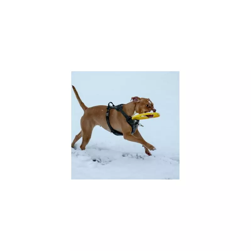 Met Office Forecast: Dry and Cold Christmas Day 2025, Snow Unlikely